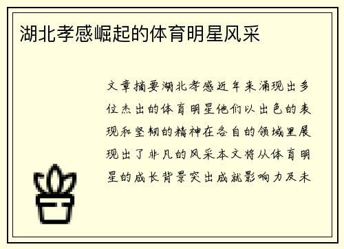 湖北孝感崛起的体育明星风采